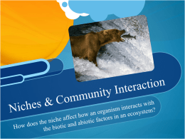 Q2 Ecology PowerPoint for Marine Bio