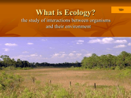 Intro to ecosystems and energy flow
