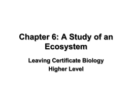 1.5 a study of an ecosystem