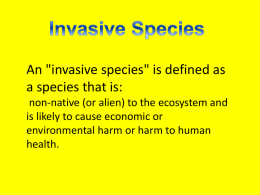 Riparian Zone Invasive Species