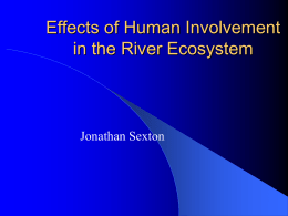 Effects of Human Involvement in the River Ecosystem