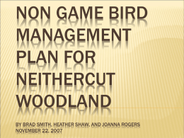 Non Game Bird Management Plan for Neithercut Woodland By Brad