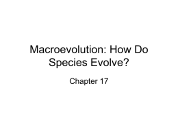 Macroevolution: How Do Species Evolve?
