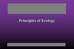 ecology pp
