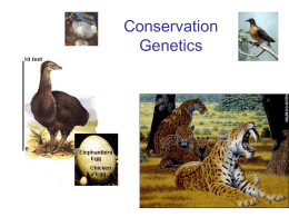 Conservation Genetics BIOL/WLF 493/693