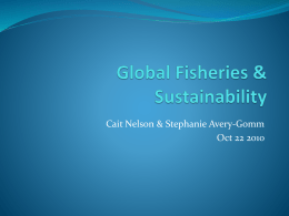 Global Fisheries & Sustainability