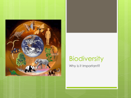 Biodiversity 5 Biodiversity_2