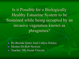 Is it Possible for a Biologically Healthy Estuarine System to be