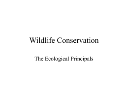 Gapped Wildlife conservation lesson2