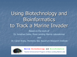 M. galloprovincialis - Marine Biotechnology and Bioinformatics is a