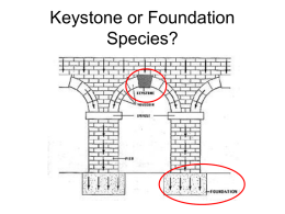 Keystone or Foundation Species?