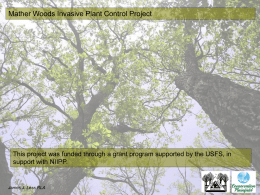 Mather Woods Invasive Plant Control Project - James Less