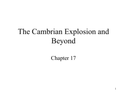 The Cambrian Explosion and Beyond