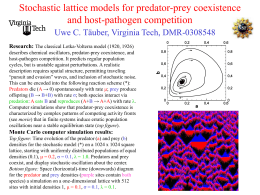 Stochastic lattice models for predator