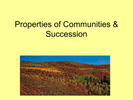 Properties of Communities and Succession