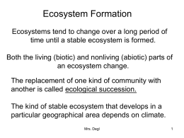 Ecosystem Formation
