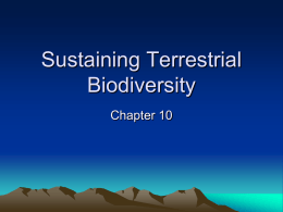 Sustaining Terrestrial Biodiversity