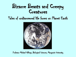 Bizarre Beasts and Creepy Creatures Tales of