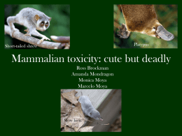 mammalian_toxins
