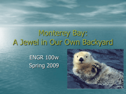 Monterey Bay: A Jewel in our own Backyard