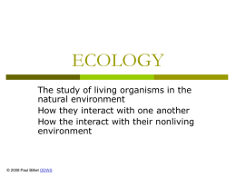 Powerpoint Presentation: Ecology
