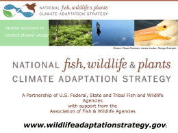 Strengthening wildlife action plants to address a changing climate