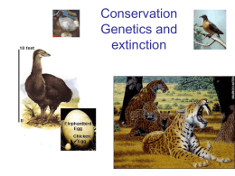 Conservation and extinction