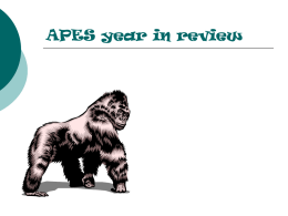 APESyearinreview