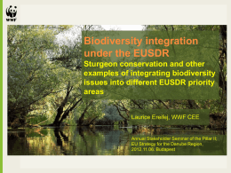 Plenary: EUSDR - WWF