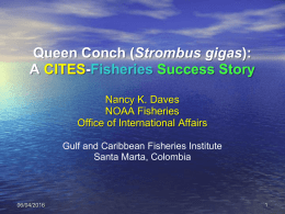 International Queen Conch Initiative and CITES