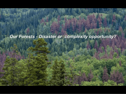 Forests and Complexity Opportunity