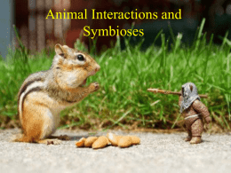 Animal Symbioses and Interactions
