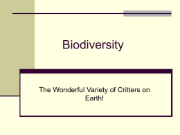 Midterm-BiodiversityReviewPPT