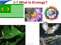 What is Ecology