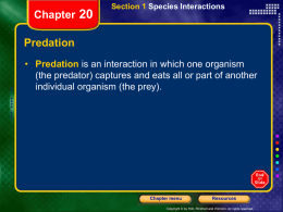 Chapter 20 Niche Section 1 Species Interactions