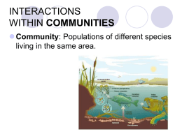 14.4 Interactions within Communities