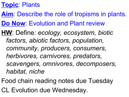 TOPIC: Plants AIM: What are plant responses?