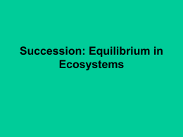 Succession: Equilibrium in Ecosystems