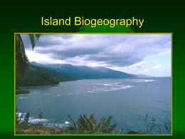 Island Ecology
