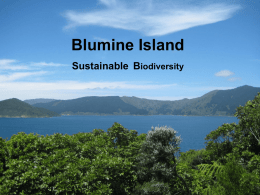 Blumine Island biodiversity