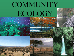 Community Ecology Notes