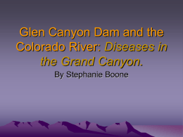 Glen Canyon Dam and the Colorado River: Diseases in the Grand