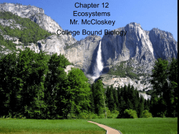 Chapter 12 Ecosystems Mr. McCloskey College Bound Biology