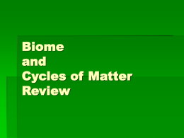 Biome and Cycles of Matter Review
