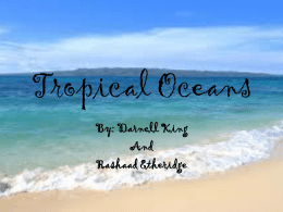 Tropical Oceans - MurphyBiologyI