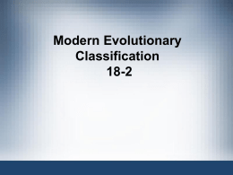 Modern Phylogenetic Taxonomy 18-2