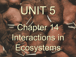 PowerPoint Lecture Chapter 14