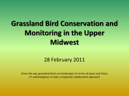 Grassland Bird Monitoring