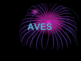 AVES_powerpoint_report_anne2_