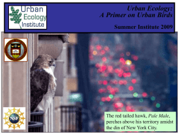 Welcome to our Workshop! Cities as Habitats for Birds October 12